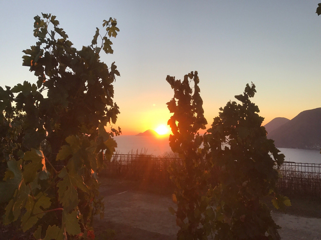 Tenuta Di Castellaro Winery-利帕里必去景点