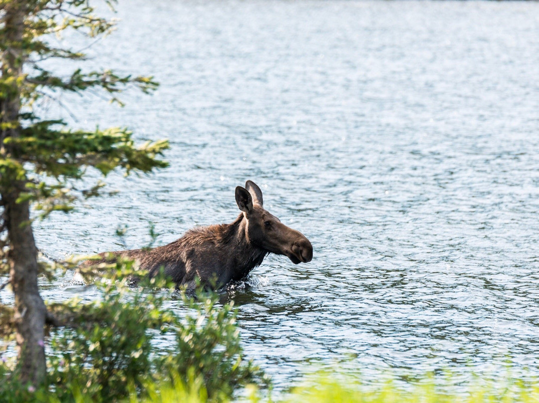 Lake Isabelle-Ward必去景点