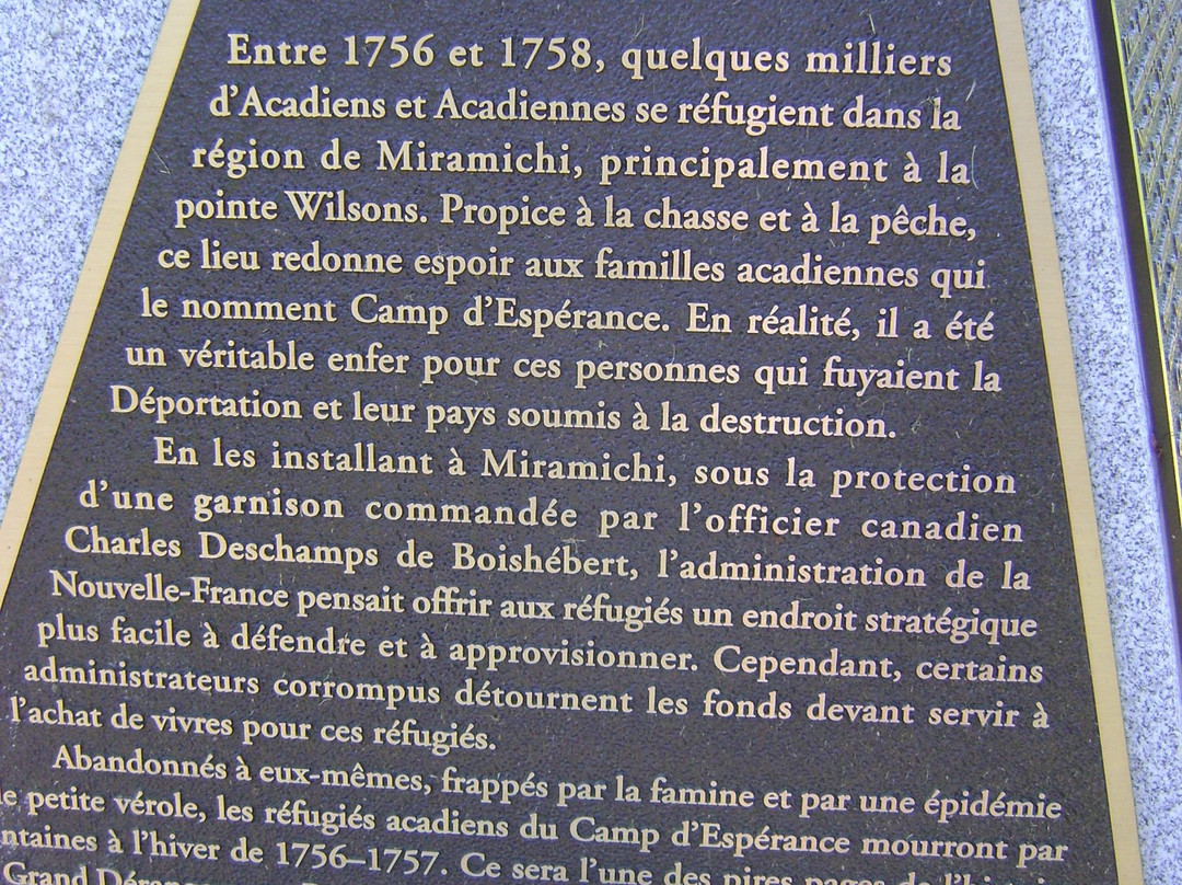 Wilson's Point-Derby Junction必去景点