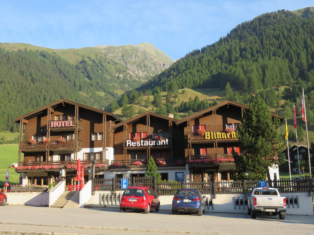 Munster酒店住宿-Hotel Blinnenhorn