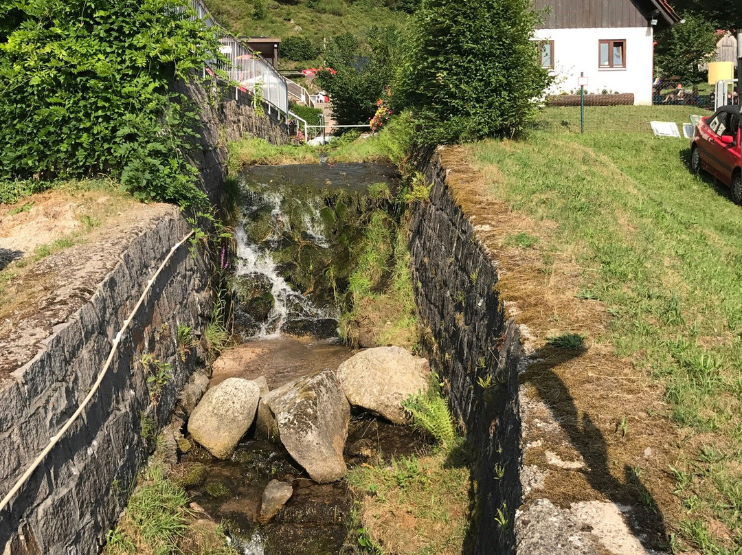 Schwimmbad Reichental景点图片