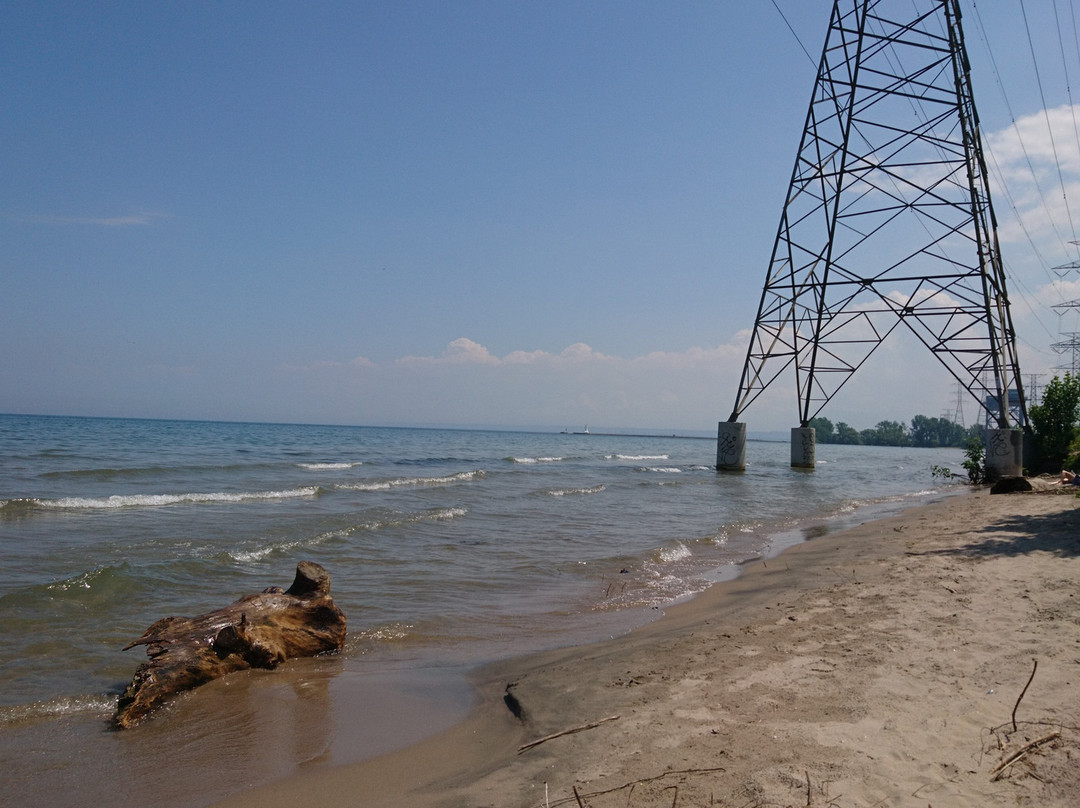 Beachway Park景点图片
