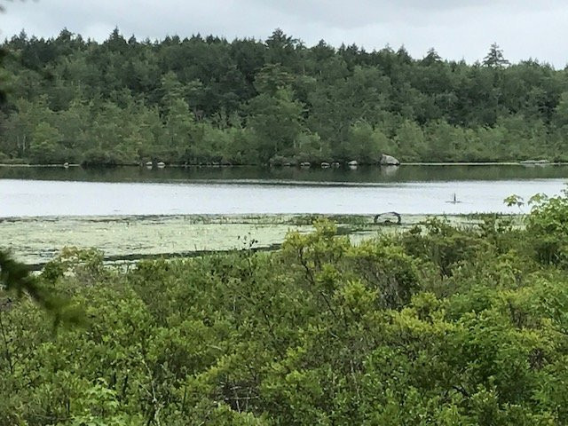 The Loon Center景点图片