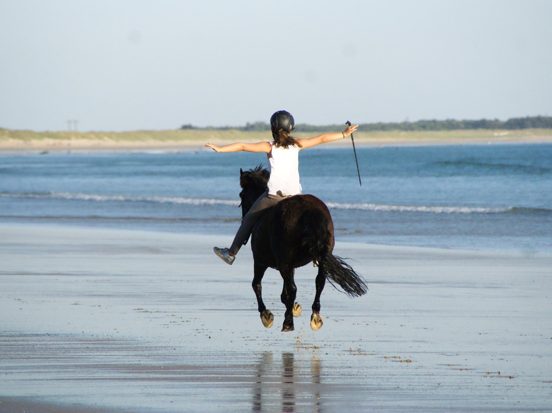 Centre Equestre des Dunes景点图片