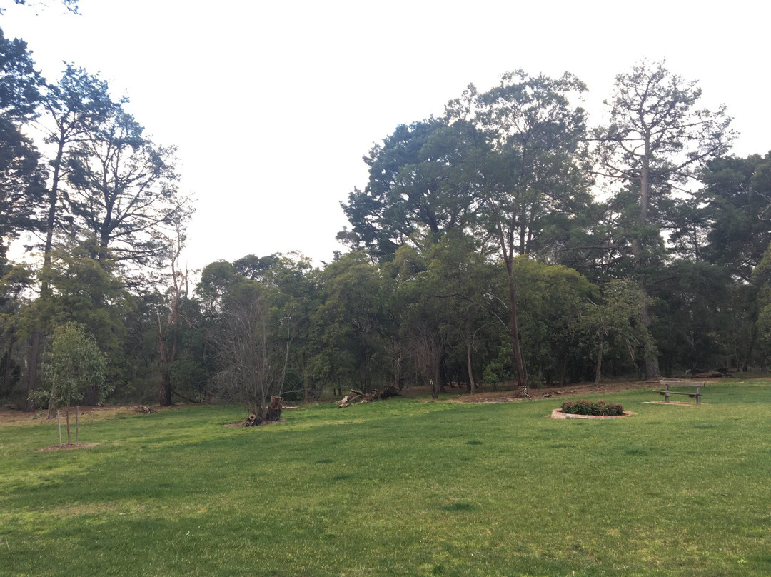 Antonio Park-Mitcham必去景点