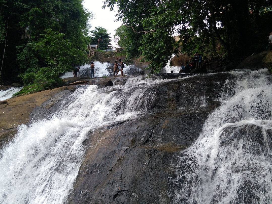 Aruvikkuzhi Waterfall景点图片