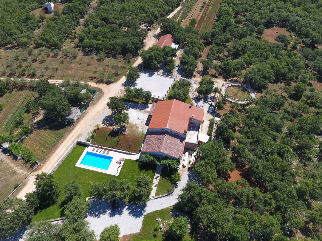 Konjicki klub Jakici Horse Riding-Sveti Lovrec必去景点