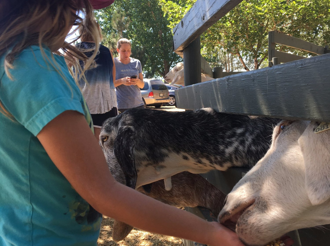 Sunflower Farm-朗蒙特必去景点
