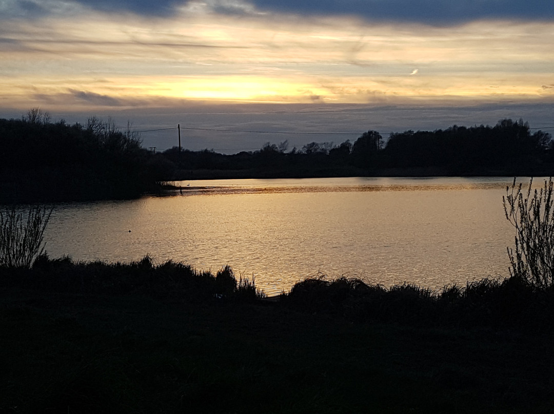 Cleethorpes Country Park景点图片