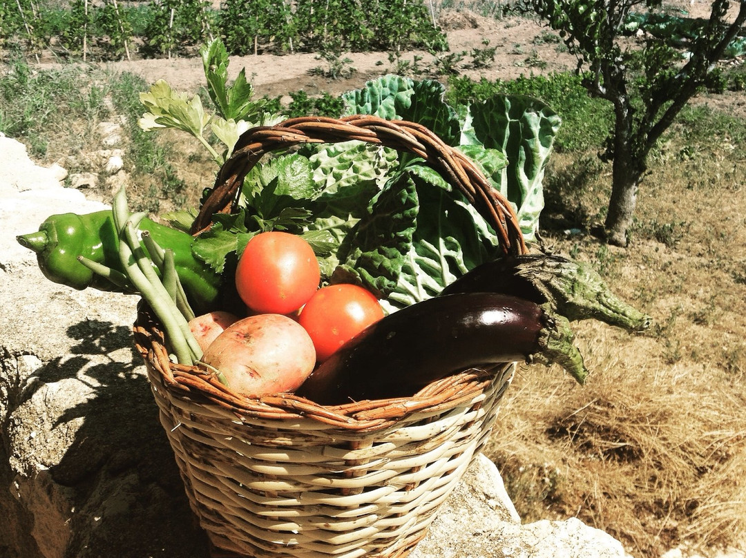 Vila-rodona酒店住宿-Mas Boronat