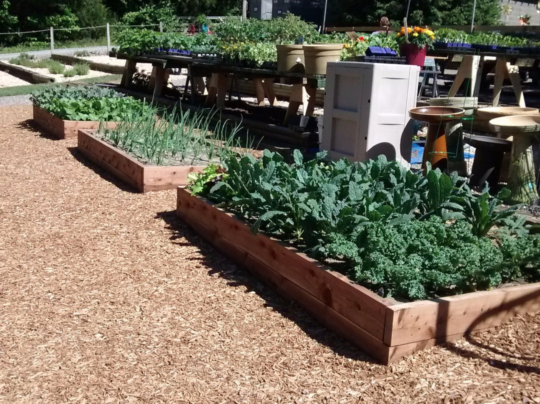Glen Allen Greenhouse景点图片