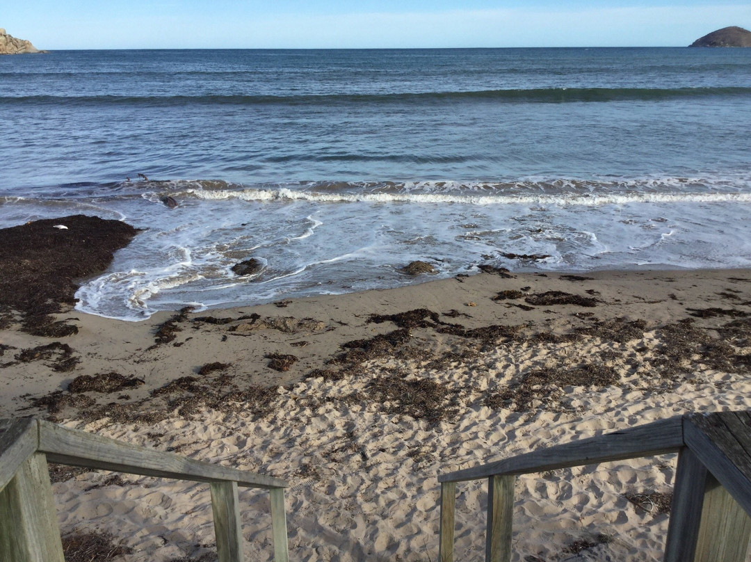 Victor Harbor Mainstreet Precinct-维克多港必去景点