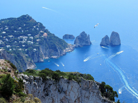 Tours of Sorrento-Capri,Amalfi Coast & Pompeii