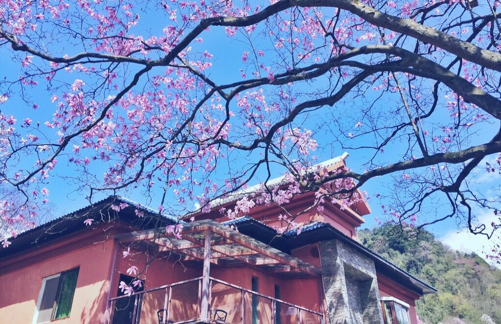 药王谷旅游景区景点图片