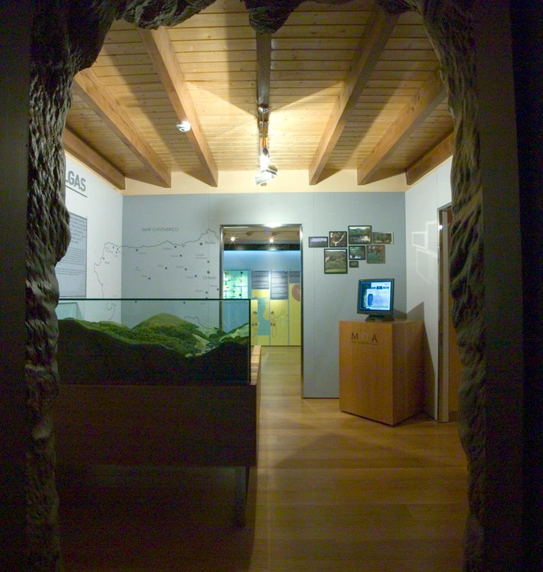 Museo del Oro de Asturias景点图片