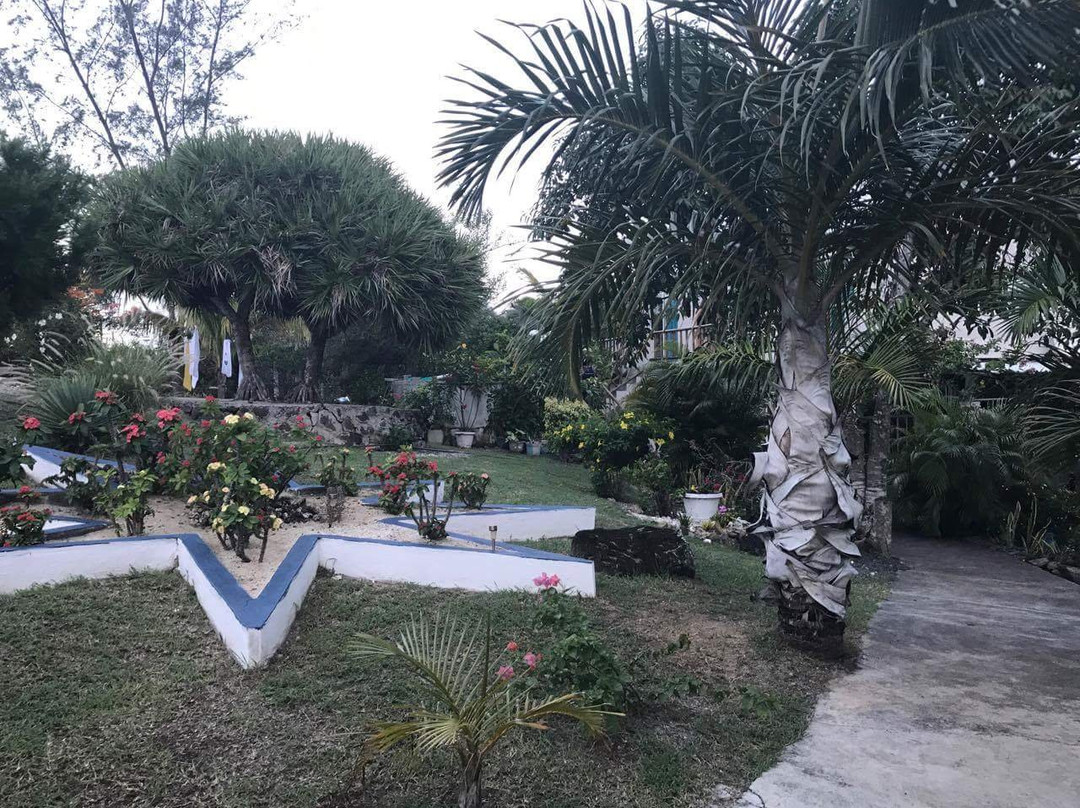 Port Sud-Est旅游攻略图片