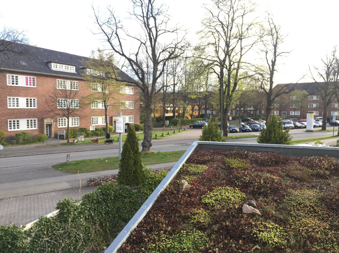 Hildebrandts Das grune Stadthotel主图