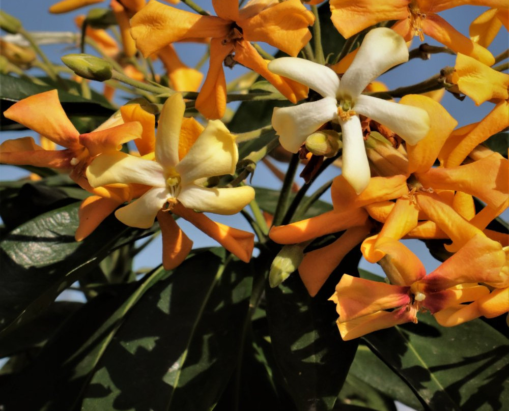 Washington Park-里弗赛德必去景点