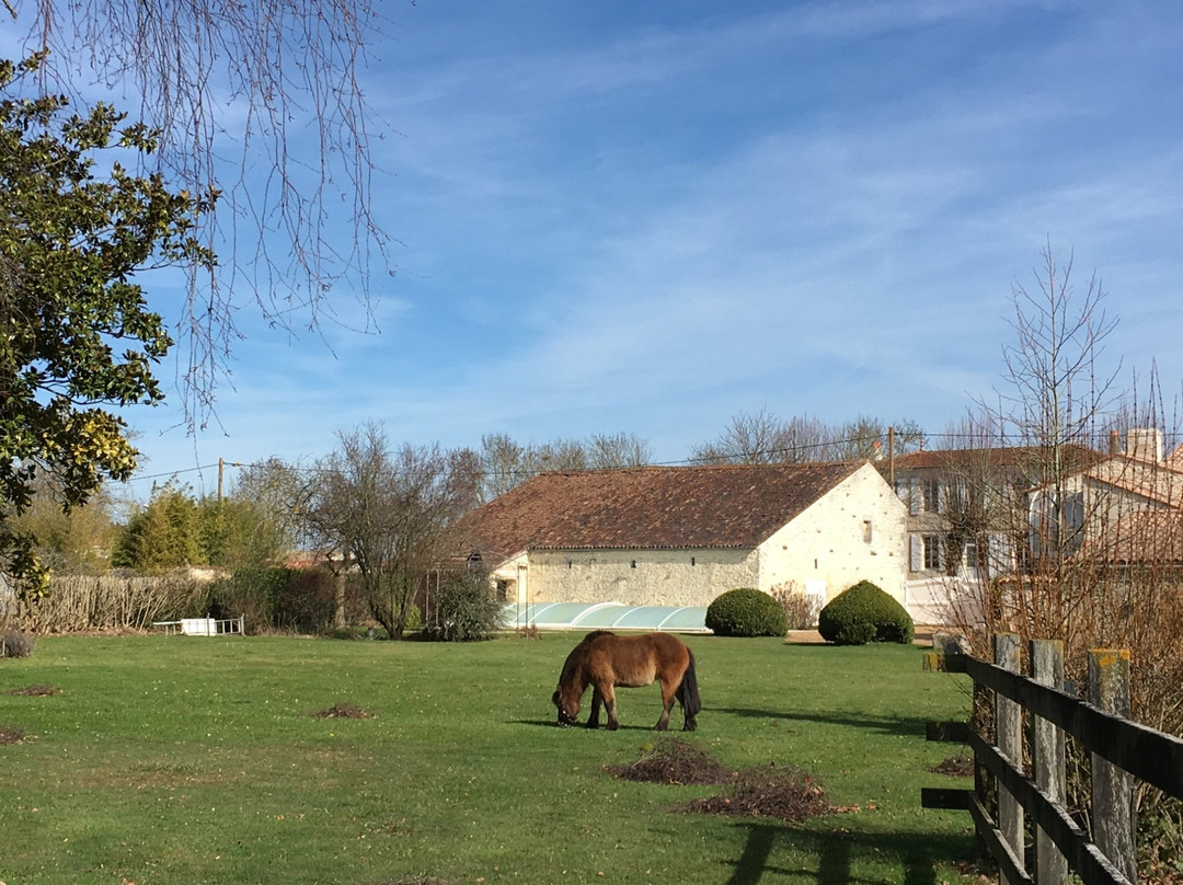 Les Grands Clos主图