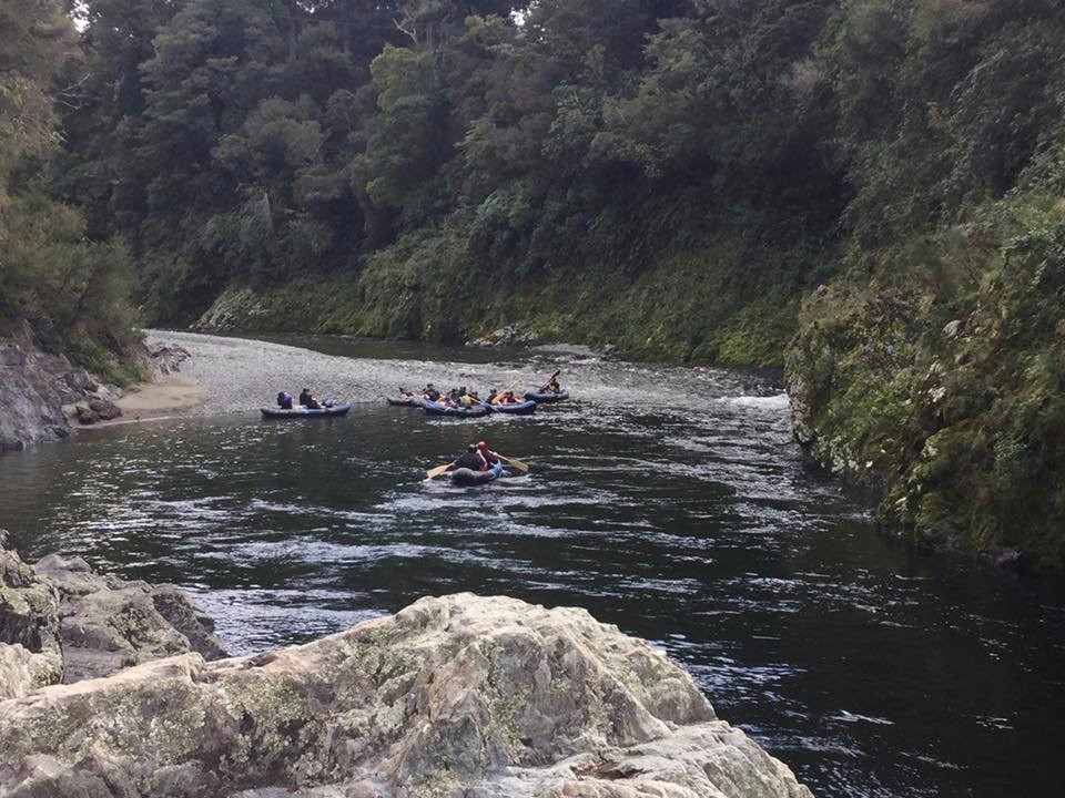 Pelorus Eco Adventures景点图片