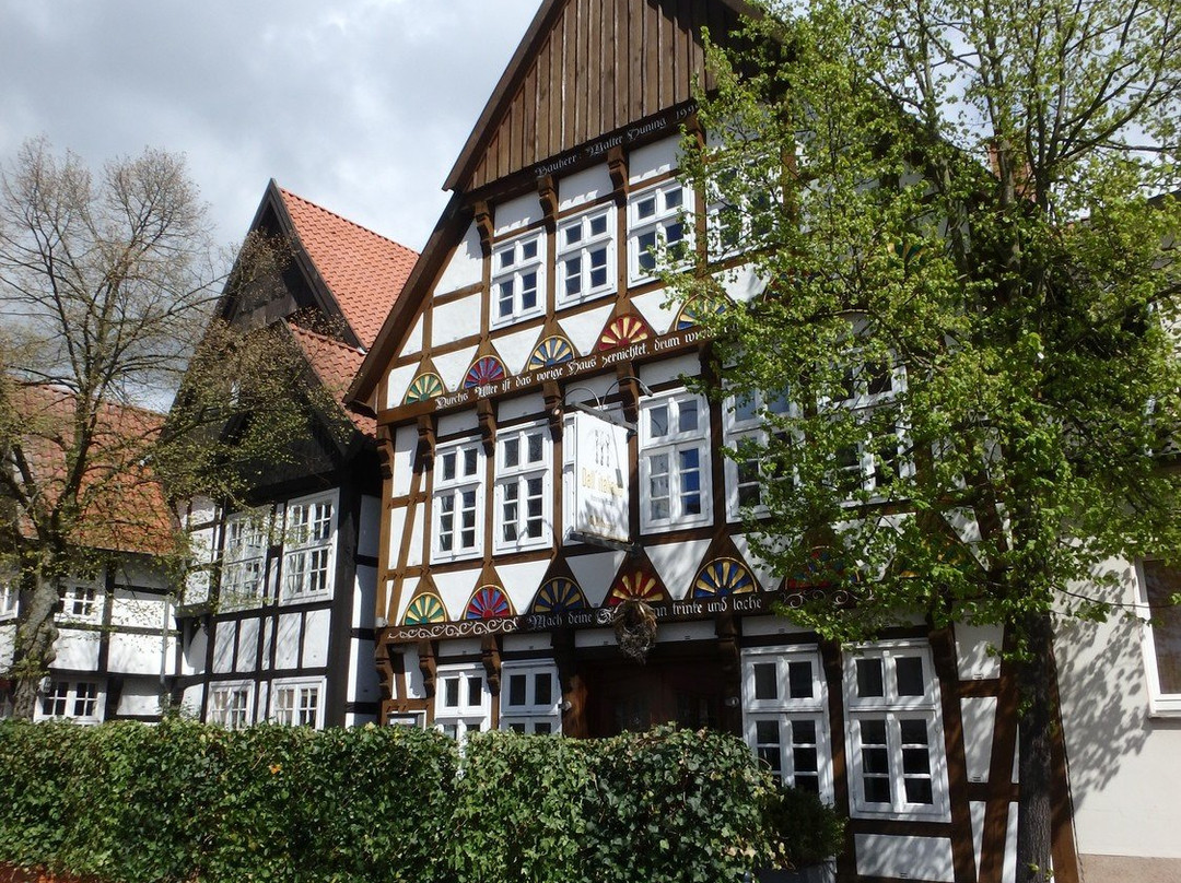 梅勒餐馆和美食-Dall'italiano