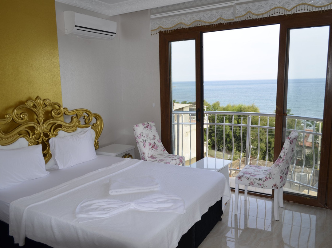 Alev Palace Otel主图