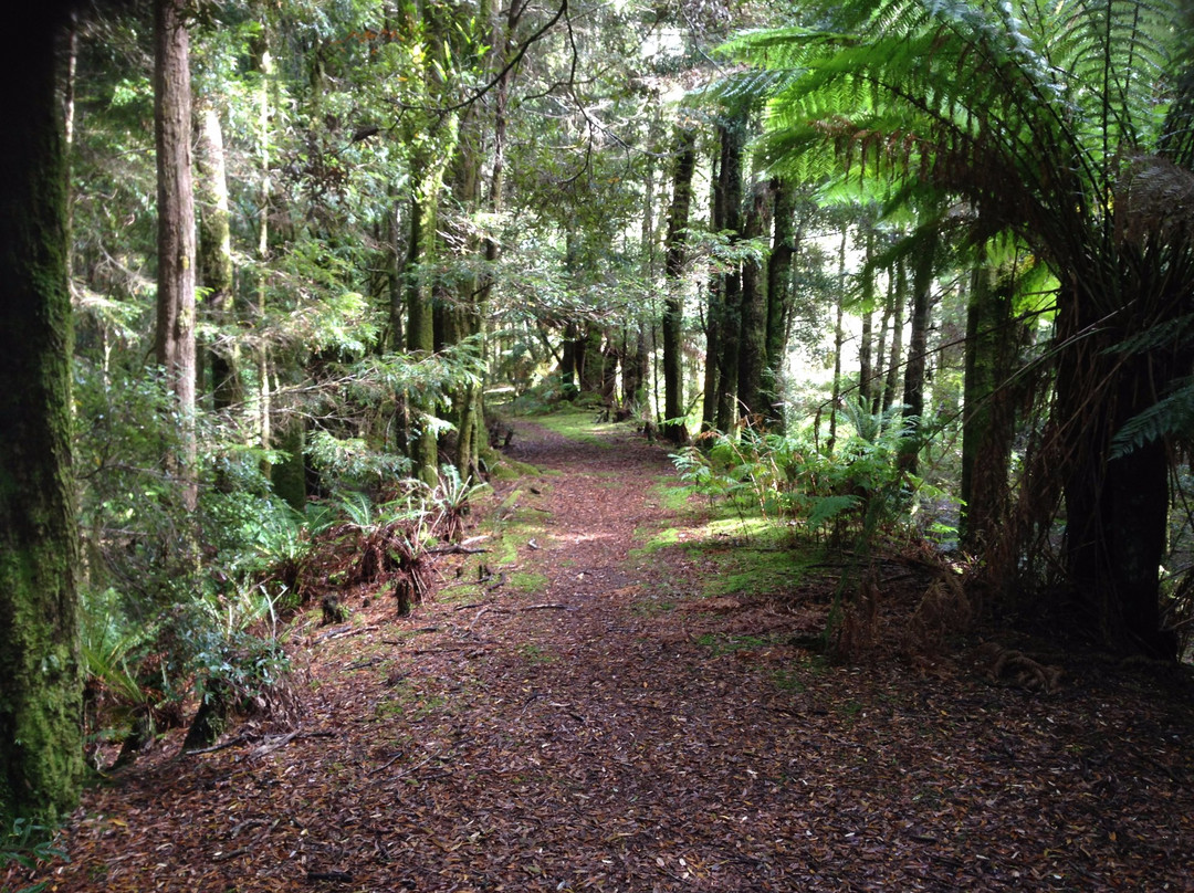 Kelly Basin-皇后镇必去景点