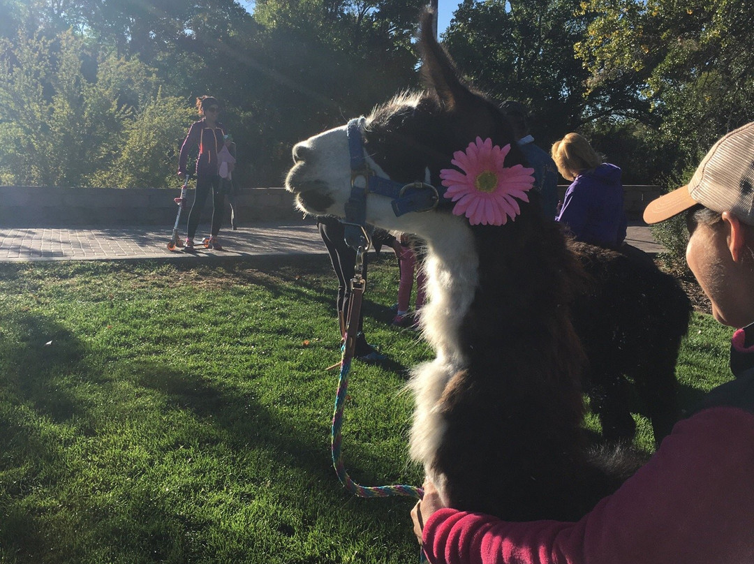 Berg/Animas Trail-法明顿必去景点
