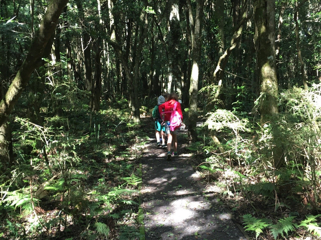 Robertson Nature Reserve-Robertson必去景点