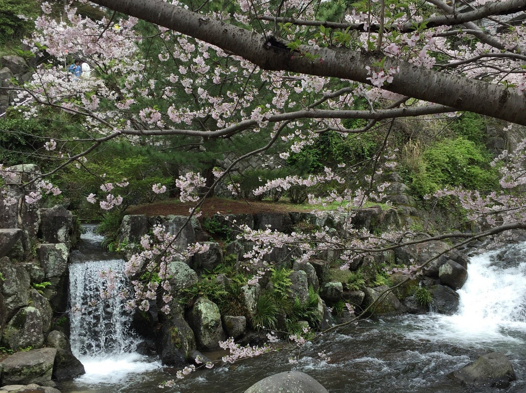 Tachibana Park-云仙市必去景点