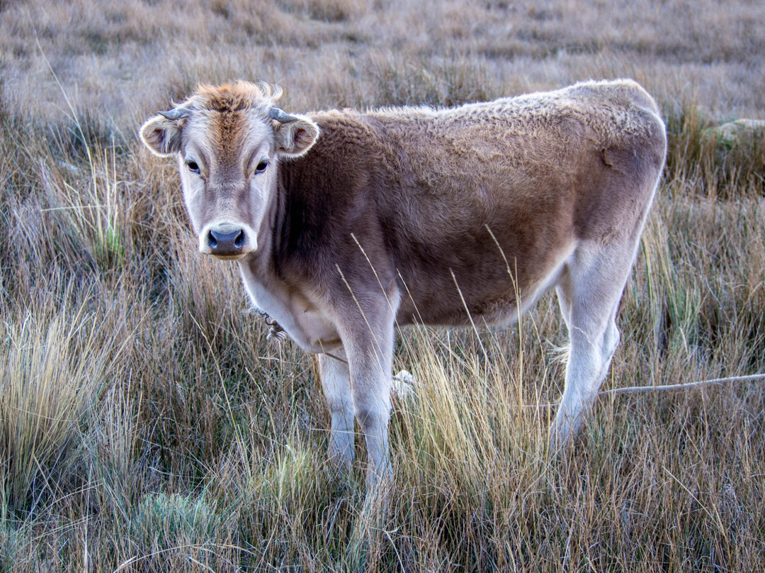 3810 Lodge & Tours-拉巴斯必去景点