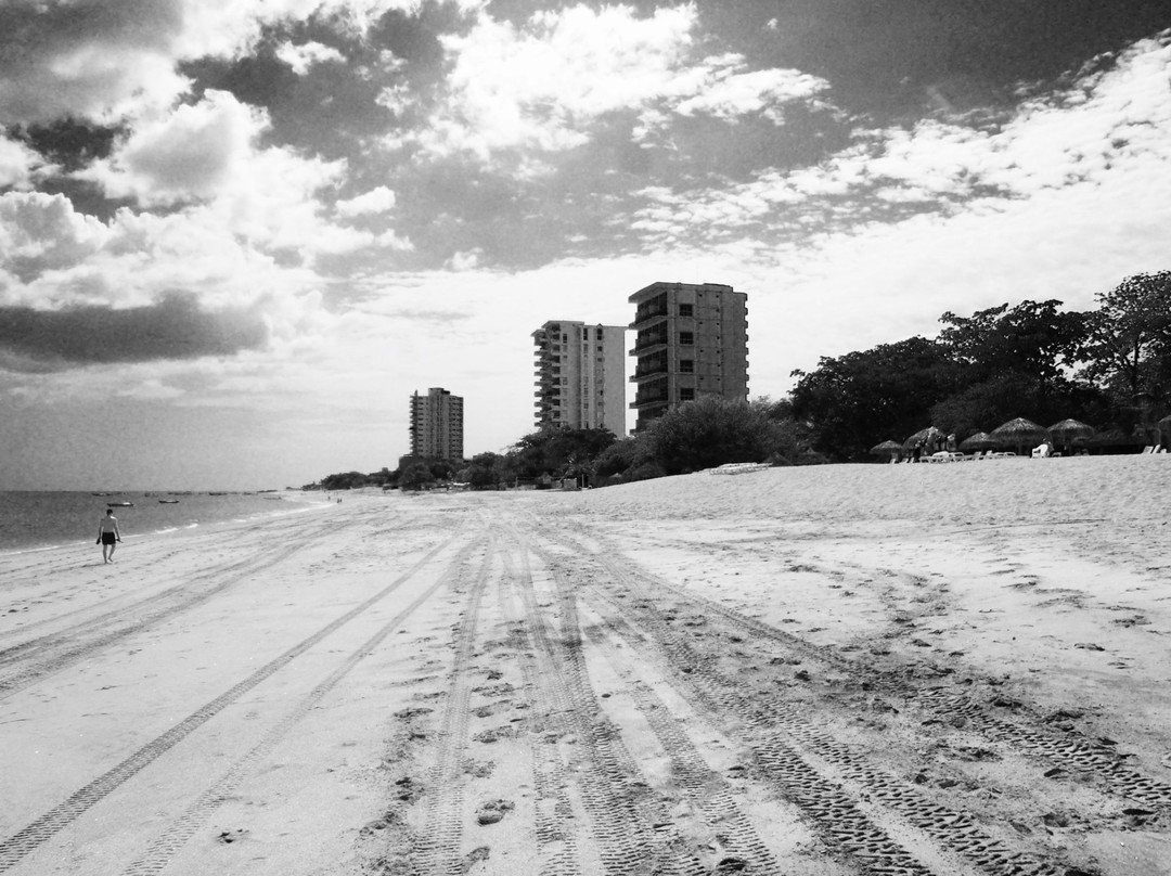 Palmer Beach景点图片