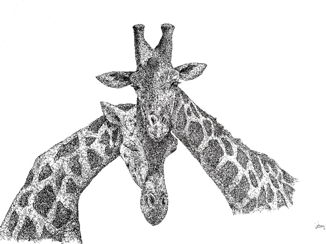 Kingfisher Gallery-霍德斯普鲁特必去景点