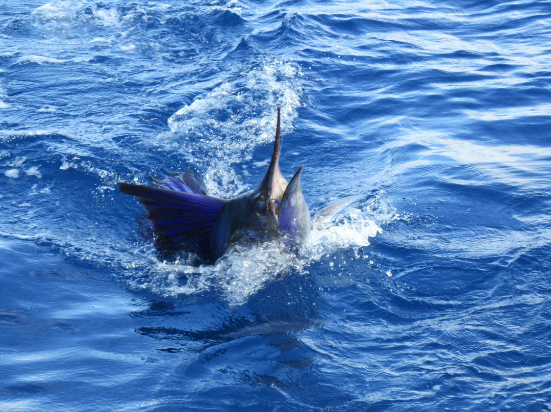 Fish Drake Bay景点图片