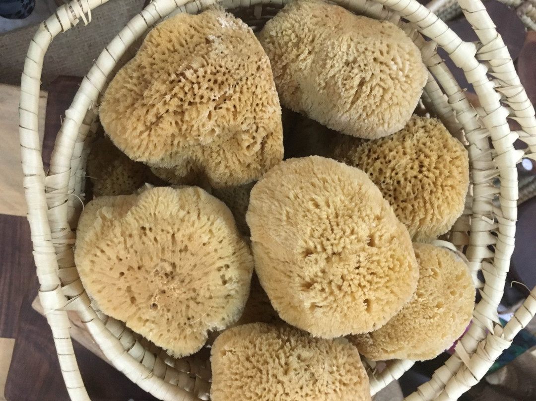 Bahama Art and Handicraft景点图片