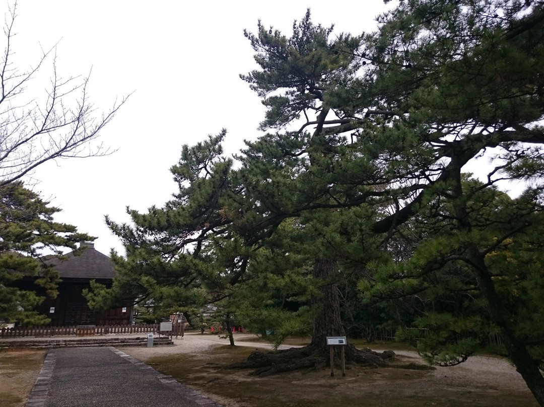Jissoji Temple-西尾市必去景点