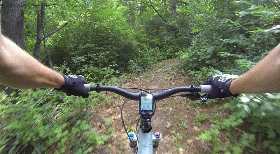 Hayes Arboretum-里士满必去景点