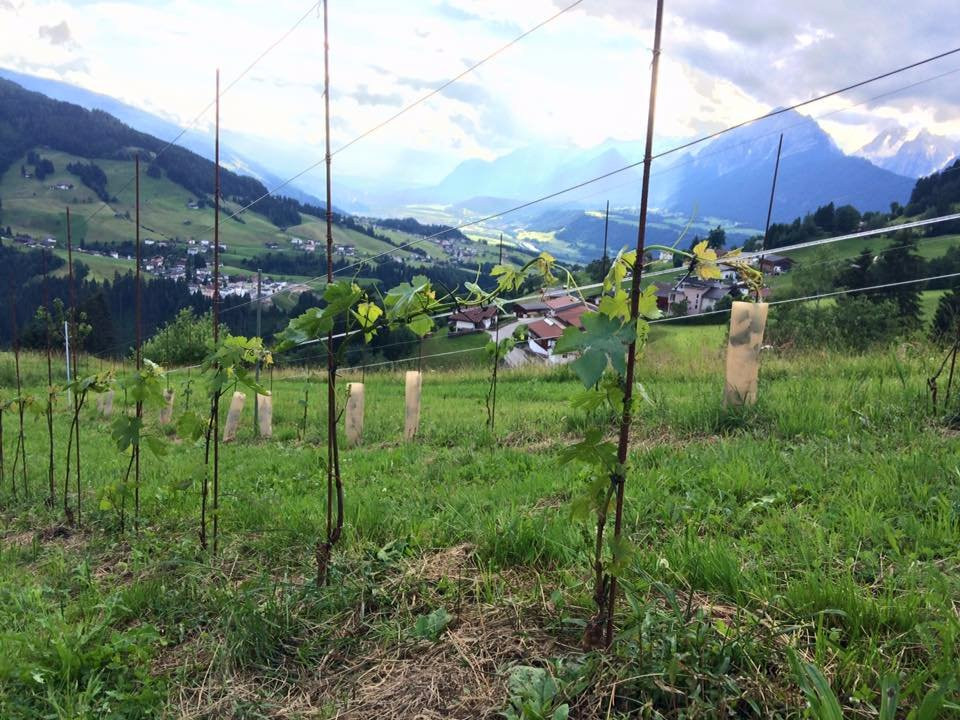 K Fruchtkelterei-Pill必去景点