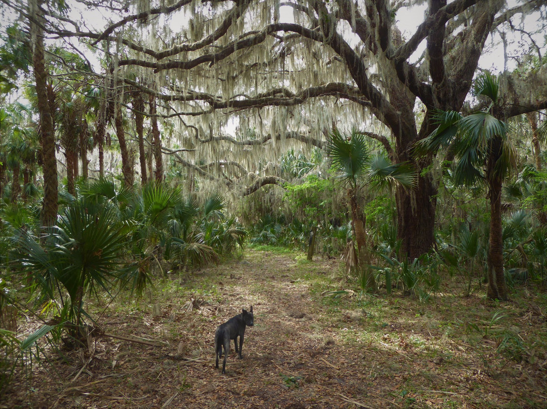 Lake Jesup Conservation Area-Oviedo必去景点