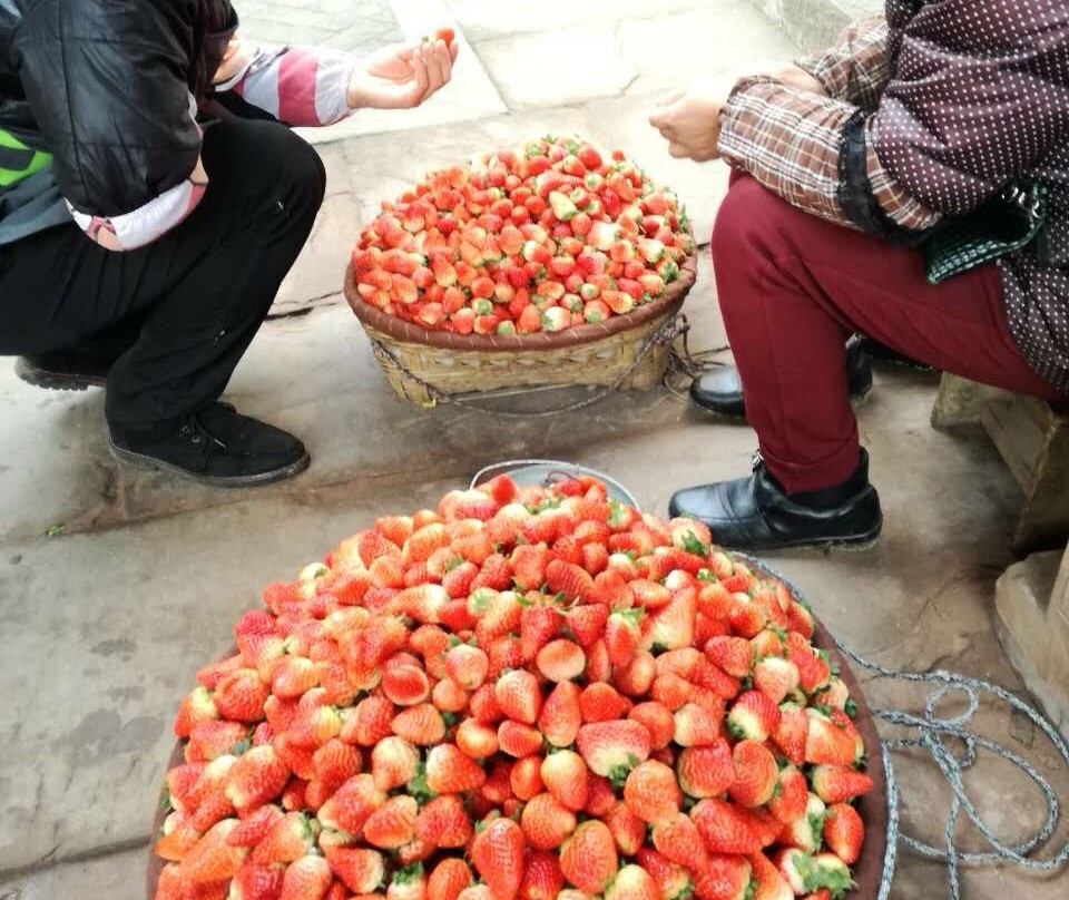 乐山古桥街景点图片