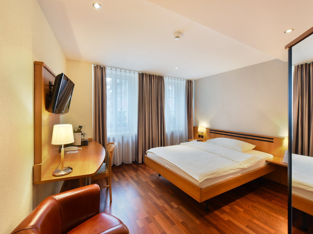 Hotel Amadeo主图
