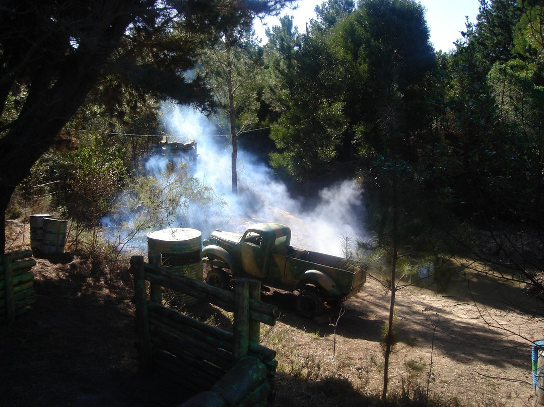 Tactical Adrenalin Paintball Wars-普利登堡湾必去景点