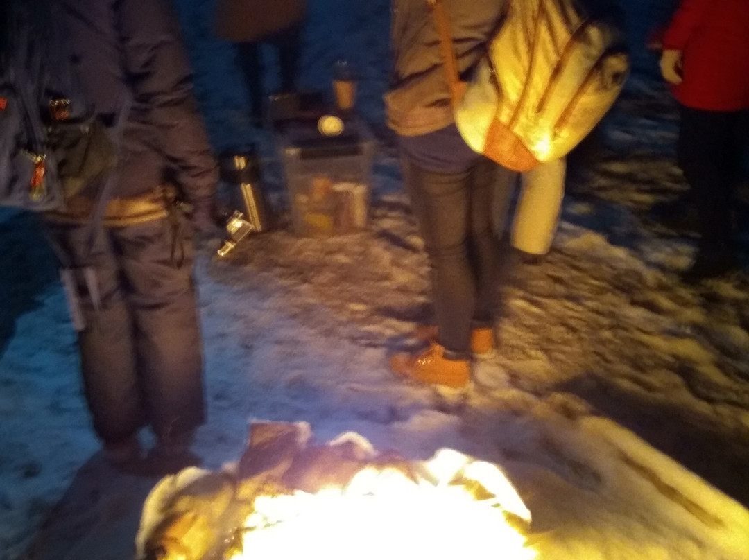 Aurora Photo Guide-特罗姆瑟必去景点