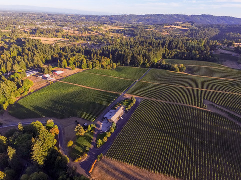 Hawks View Winery-Sherwood必去景点