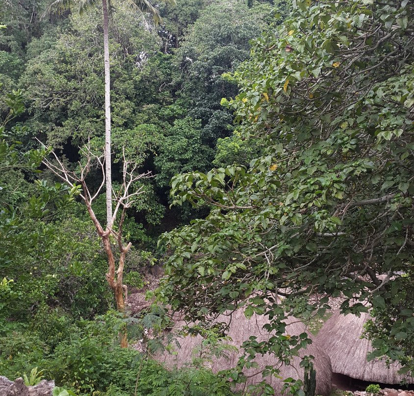 Tamkesi - Traditional Village景点图片
