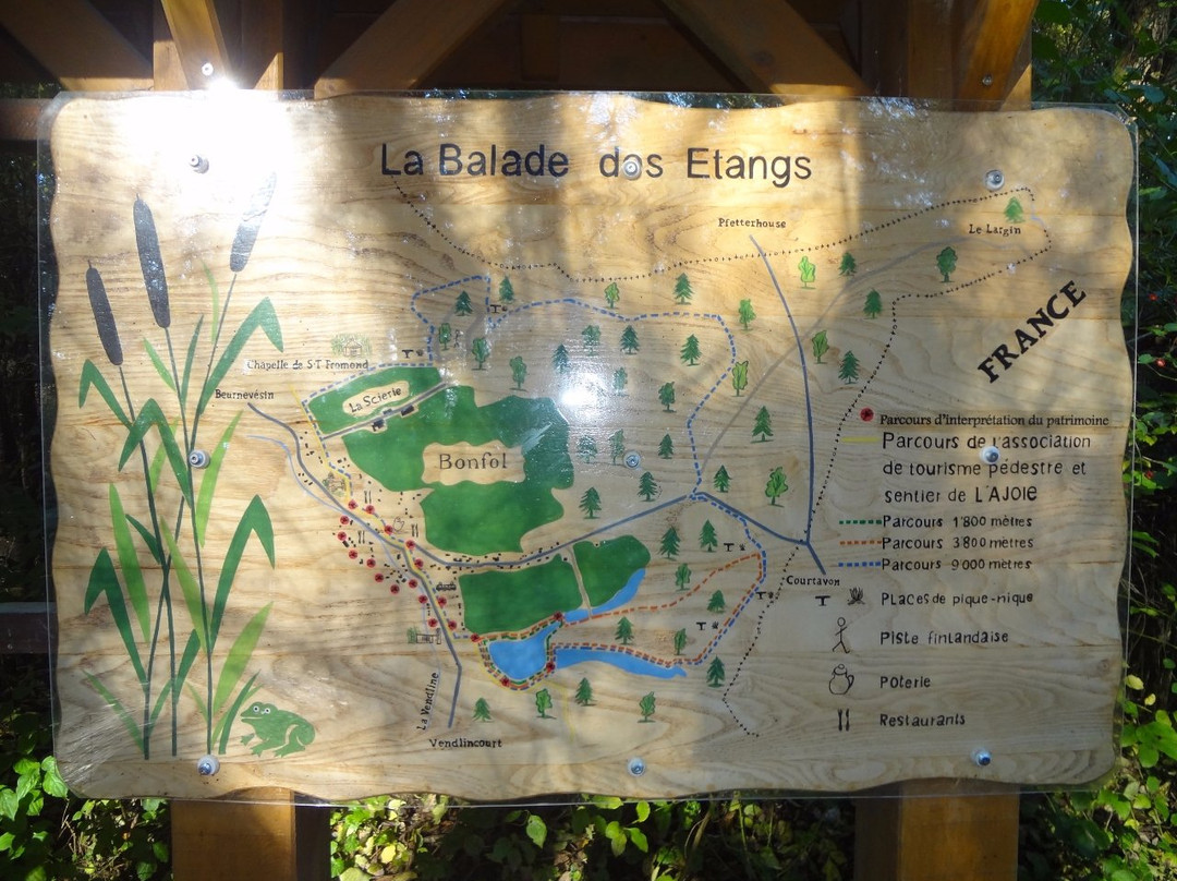 Etangs de Bonfol-Bonfol必去景点
