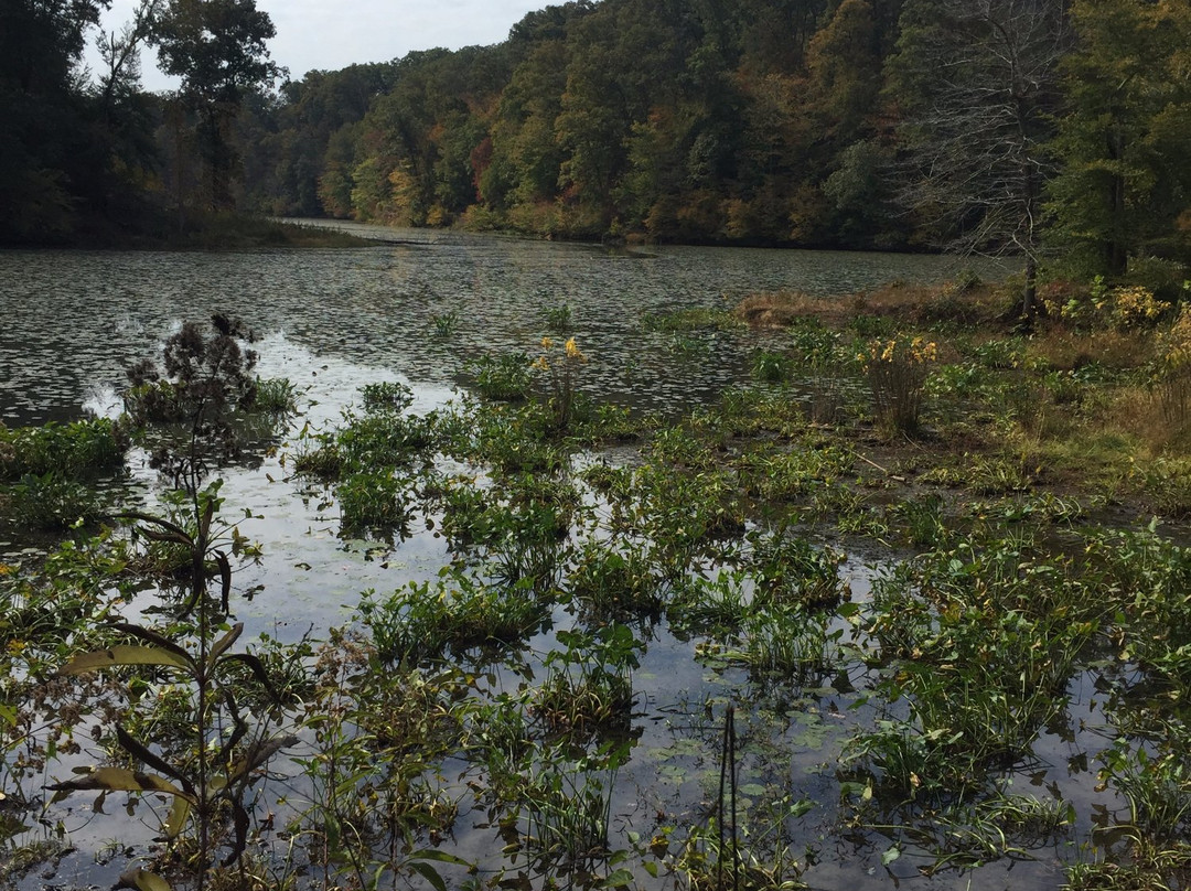 Lake Vesuvius Recreation Area-Ironton必去景点
