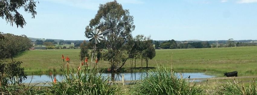 Sylvan Rise Retreats-Gordon必去景点