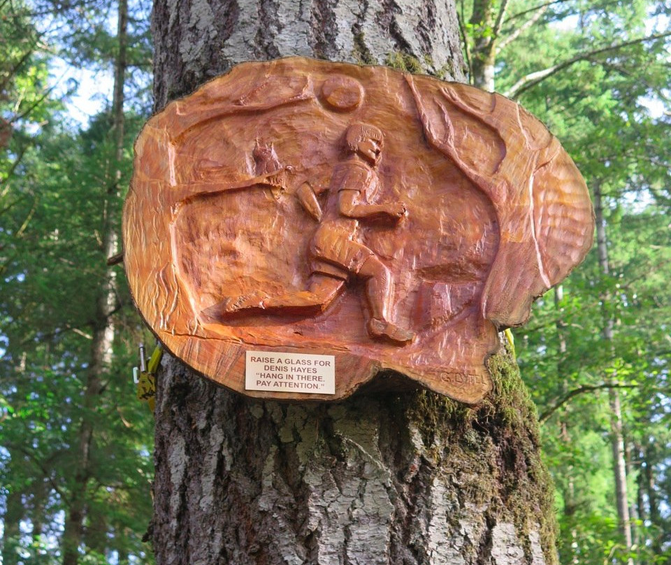 Beaver Lodge Forest Land景点图片