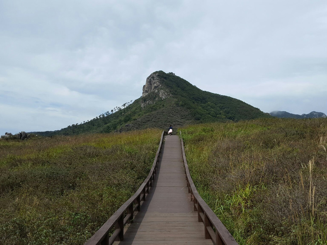 Hwangmaesan County Park-陕州郡必去景点